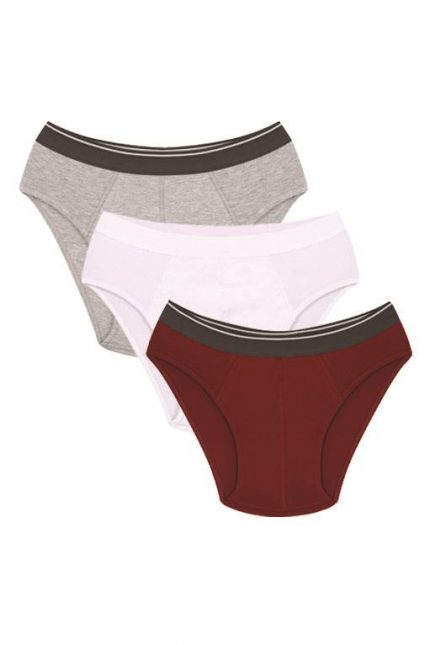Modelisse - Erkek Pamuk 3lü Bordo Beyaz Gri Likralı Slip 40128