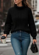 Uzun Kollu Yarı Balıkçı Yaka Triko Bluz - Görsel 3