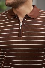 Erkek Fermuar Yakalı çizgili Kısa Kollu T-shirt - Görsel 3