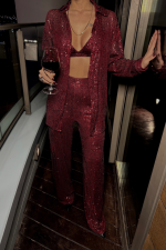 PUL PAYET 3 LÜ TAKIM - CEKET-BÜSTİYER-PANTOLON - Bordo - Görsel 2