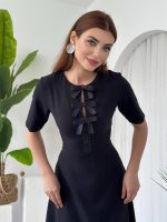 Wera Taşlı Fiyonk Detaylı Elbise