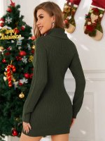 Kadın Uzun Kollu Balıkçı Yaka Kısa Triko Elbise - Görsel 3