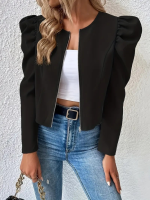Kadın Uzun Kollu önden Fermuarlı Balon Kol Süet Ceket - Görsel 3